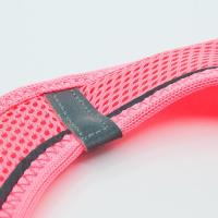 Airmesh Neon&Pembe Xxsmall  Tailpetz Göğüs Tasması 