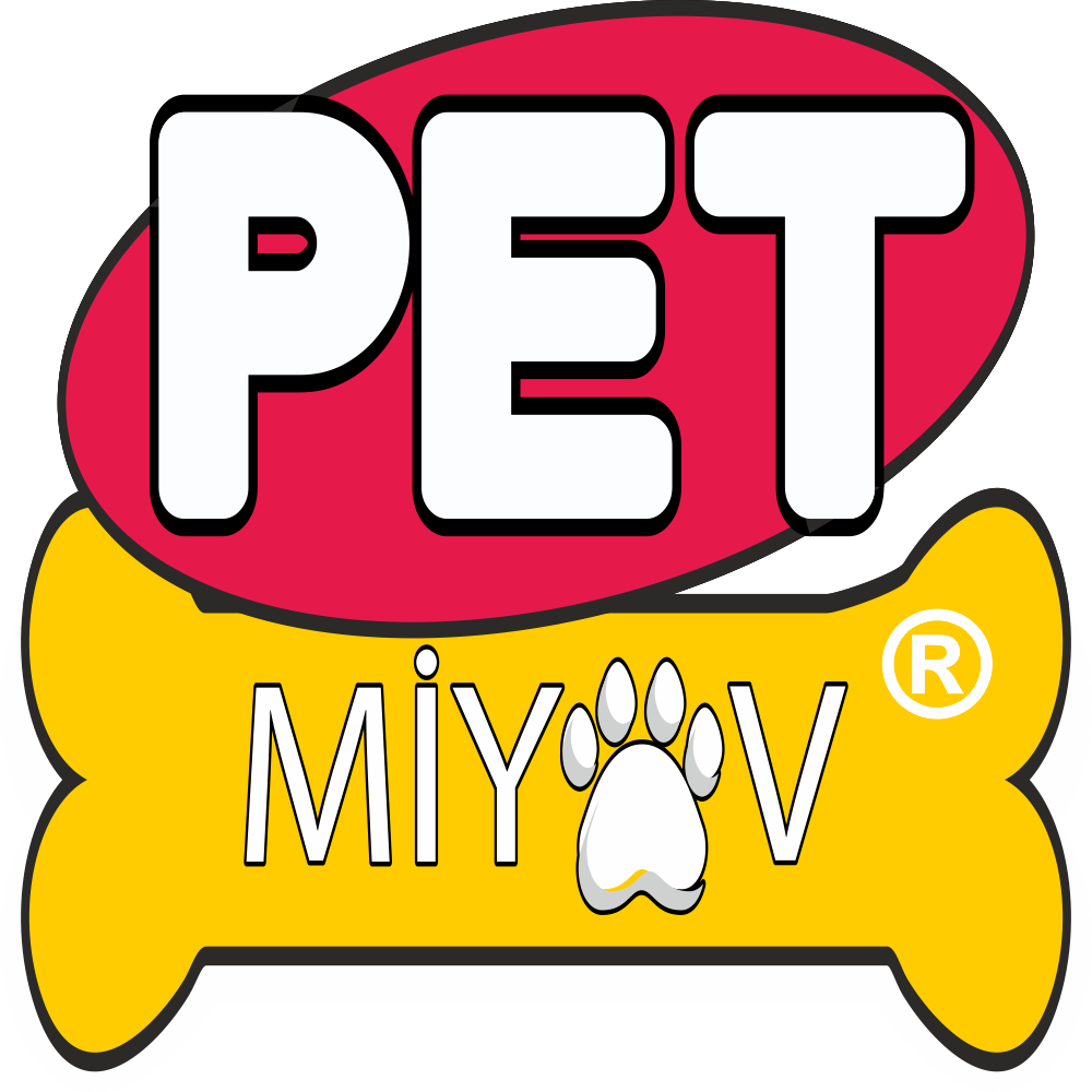 BUFFER® Yumuşak Dokulu Deri Köpek Gezdirme Boyun Tasması Medium