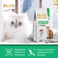 Nutri Feline Sterilised Kuzu Etli 2kg Kuru Kedi Maması