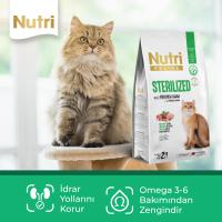 Nutri Feline Sterilised Kuzu Etli 2kg Kuru Kedi Maması