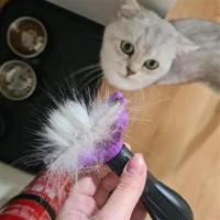 Pet Miyav® 4.5 Kilo Üzeri Kısa Tüylü Kediler Için Tüy Toplama Tarağı