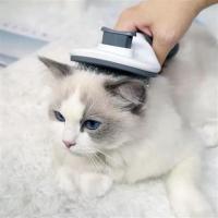 Pet Miyav® Kedi Köpek Tüy Toplayıcı Kendini Temizleyebilen Ergonomik Rahat Evcil Hayvan Tarağı Gri