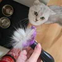 Pet Miyav® Kısa Tüylü Kedi Tarağı 4.5 Kg Ye Kadar