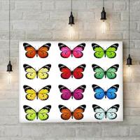 Renkli Kelebekler Kanvas Tablo 25