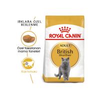 Royal Canin 4Kg British Shorthair Adult Yetişkin Kedi Maması