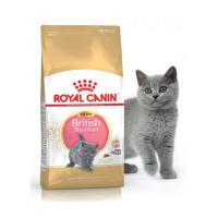 Royal Canin 2Kg BRITISH SHORTHAIR KITTEN Yavru Kedi Maması