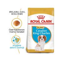 Royal Canin 1.5Kg Cavalier King Charles Puppy Yavru Köpek Maması