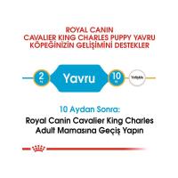 Royal Canin 1.5Kg Cavalier King Charles Puppy Yavru Köpek Maması