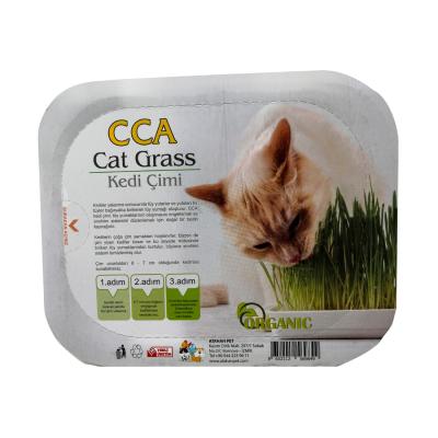Naturel Cat Grass Organik Cca Kedi Çimi 