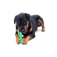 Pet Miyav Köpek Diş Fırçası Isırma Aparatı Diş Kaşıma Oyuncağı Küçük Boy Yeşil Renk