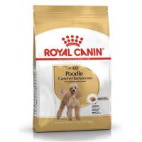 Royal Canin 3Kg Poodle Adult Yetişkin Köpek Maması