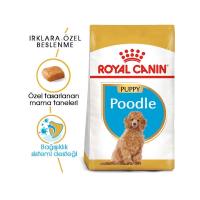 Royal Canin 3Kg Poodle Puppy Yavru Köpek Maması
