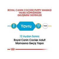 Royal Canin 3Kg Cocker Puppy Yavru Köpek Maması