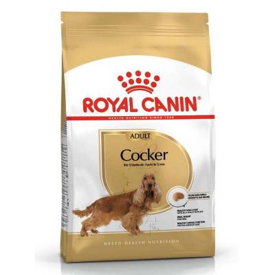 Royal Canin 3Kg Cocker Adult Yetişkin Köpek Maması