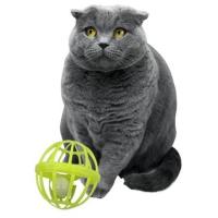 Pet Miyav® Kediler İçin Çanlı Renkli Tekerlekli İçinde Top Olan Kafes Şeklinde  Evcil Hayvan Oyuncağı
