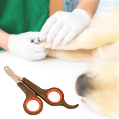 Pet Miyav® Küçük Çelik Uçlu Kedi Köpek Evcil Hayvan Tırnak Makası Pati Bakım Aleti Ergonomik Kaymaz Sap