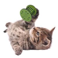 Pet Miyav® Mini Silindir Eğlenceli Renkli Sağlam Küçük Pati İzi Şekilli Kedi Oyuncağı