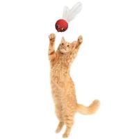 Pet Miyav® Renkli Hasır Tüylü Oyun Topu (Catnipli) İlgi Çekici Eğlenceli  Eğitici Evcil Hayvan Oyun