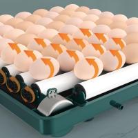 Pet Miyav® Tavuk, Kaz, Ördek, Bıldırcın Yumurtaları İçin Tam Otomatik Kuluçka Makinesi