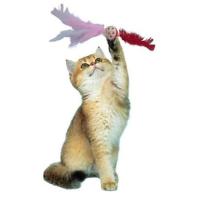 Pet Miyav® Tüylü Püsküllü Kedi Oyuncağı Dikkat Çekici Renkli Sevimli Evcil Hayvan Oyuncağı